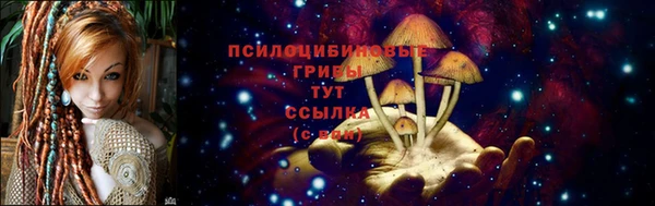 прущая мука Белоозёрский