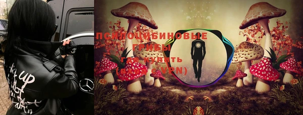 не бодяженный Богданович
