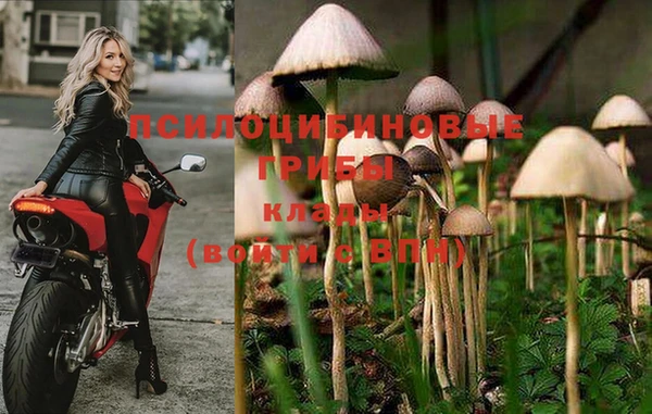 прущая мука Белоозёрский